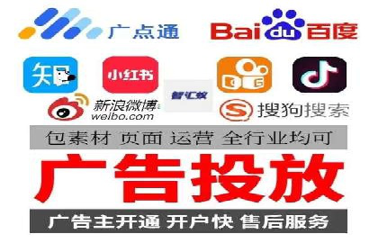竞价托管与SEO结合的案例分析