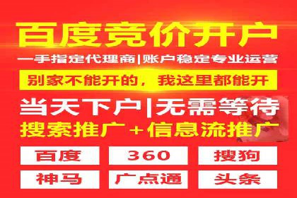 某行业领先企业背后的百度推广代理商策略